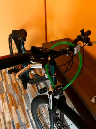 Bicicleta MTB Avalanche - miniatura 2