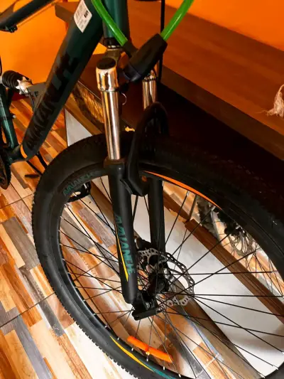 Bicicleta MTB Avalanche - miniatura 3