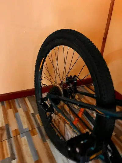 Bicicleta MTB Avalanche - miniatura 4