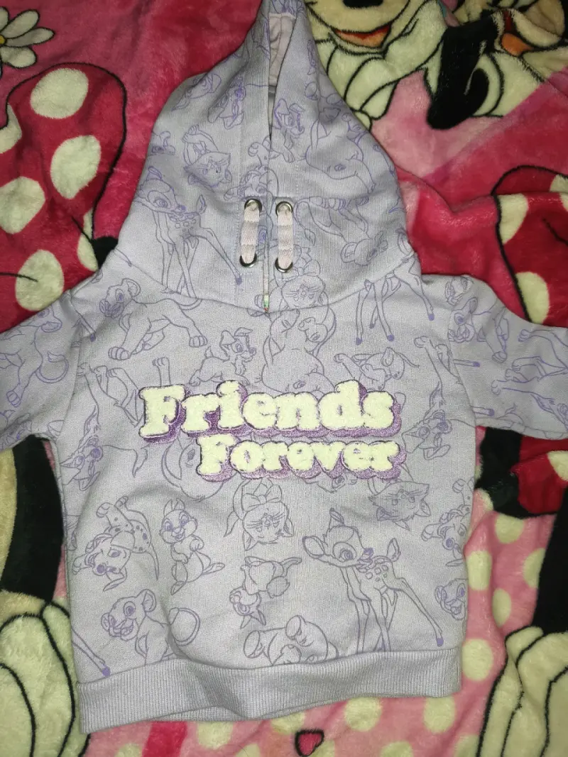 Polerón infantil Friends Forever Disney