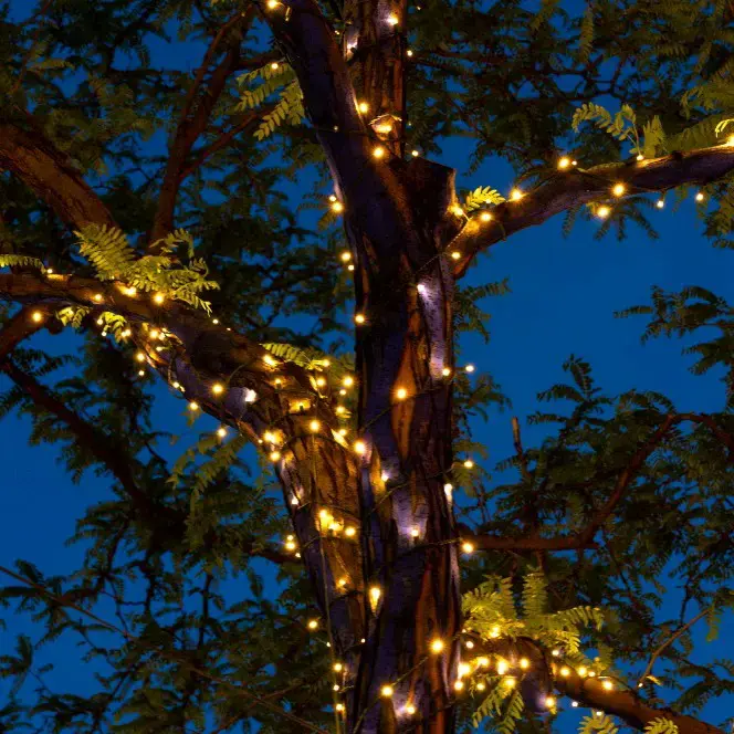 Luces LED decorativas para exteriores