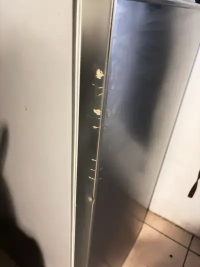 Refrigerador Maigas home - miniatura 3