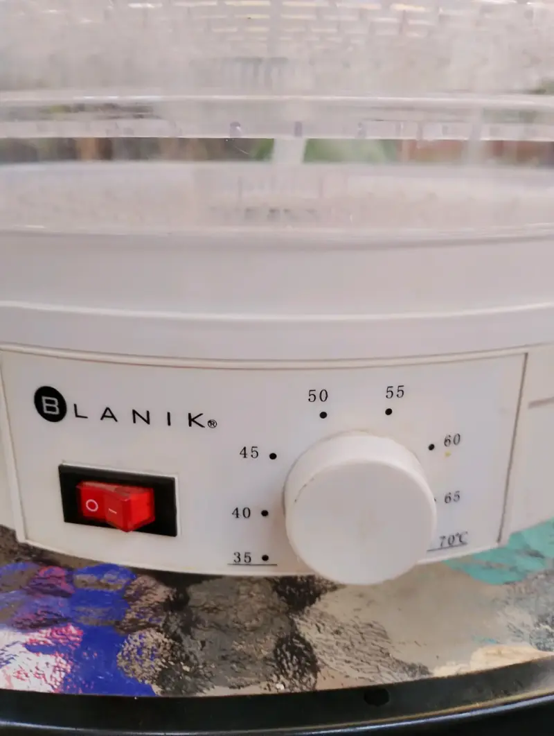 Deshidratador de alimentos Blanik con control de temperatura - 2