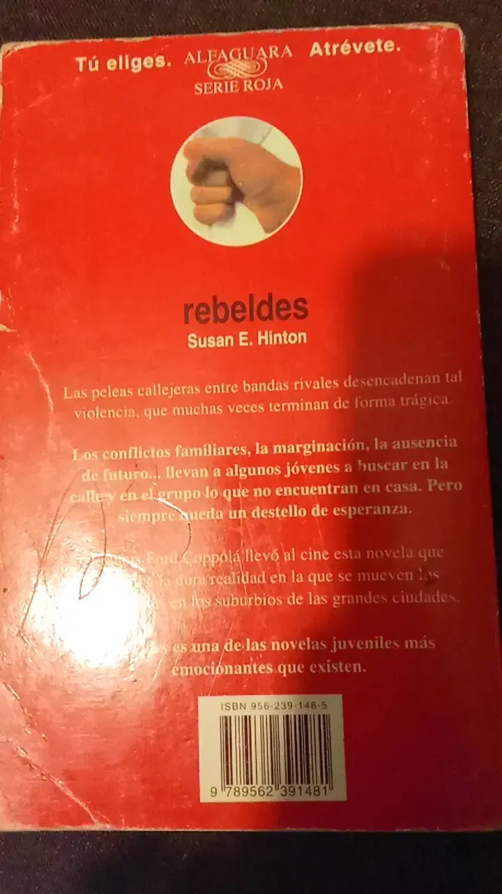 Libro 'Rebeldes' de Susan E. Hinton - 2
