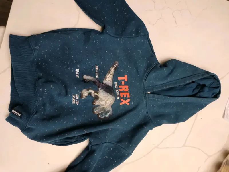 Polerón con capucha T-Rex para niños