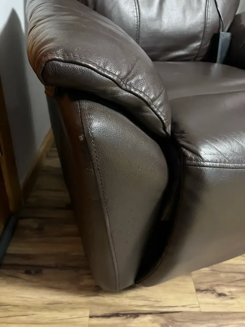 Sillón bergere reclinable de cuero marrón eléctric - 2