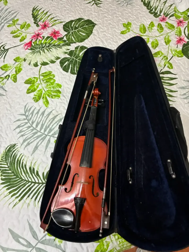 Violin con arco - 2