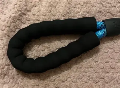 Correa para perro azul resistente - miniatura 3