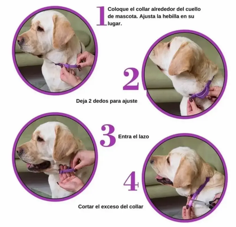 Collar calmante para perros con feromonas - 6