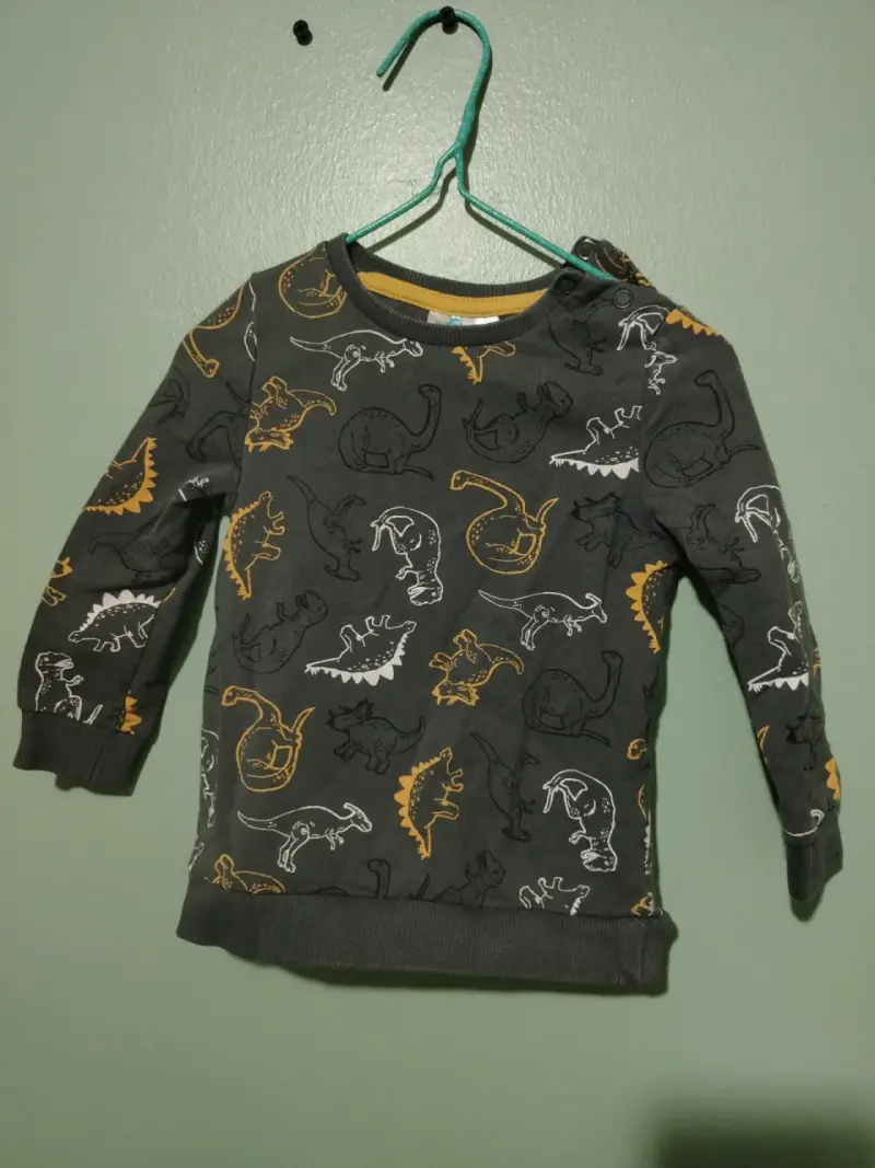 Polerón infantil con estampado de dinosaurios