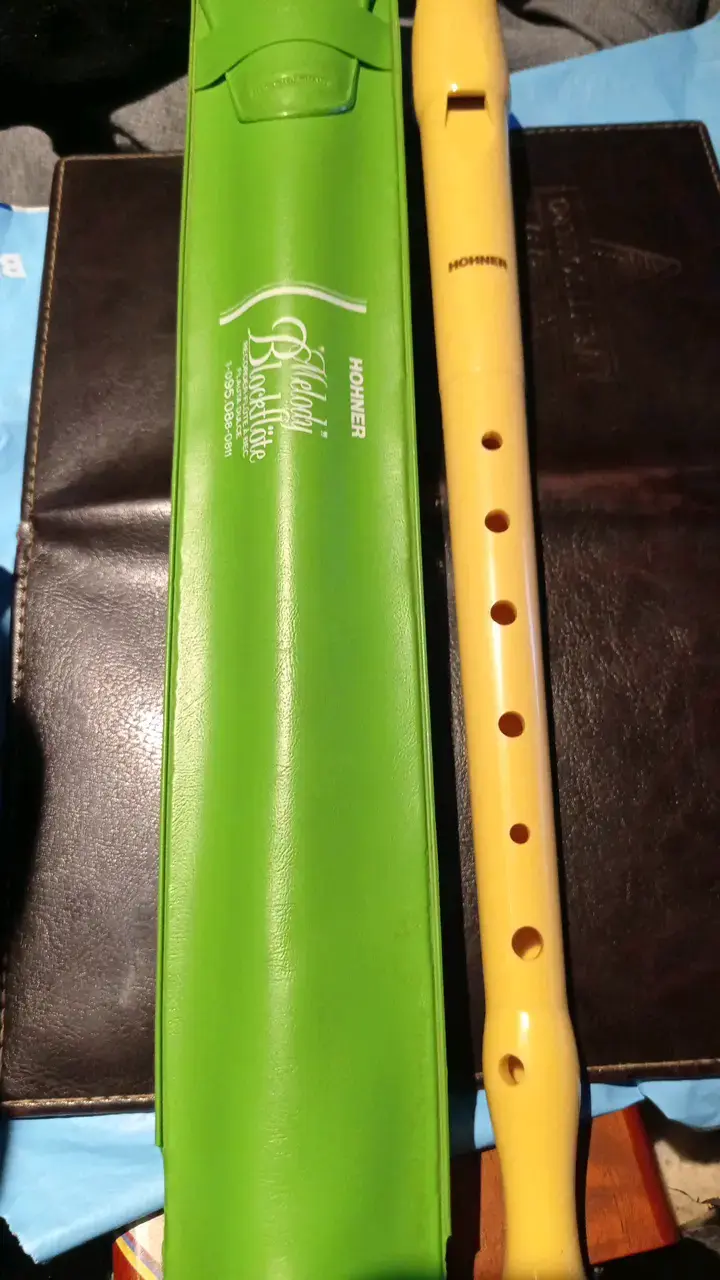Flauta dulce Hohner Melody con estuche - 2