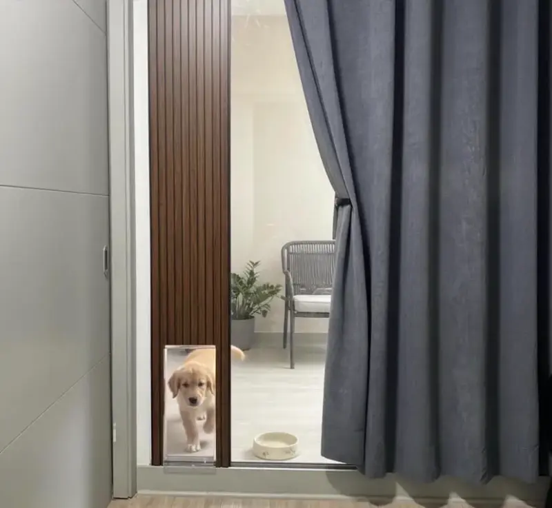 Acceso desmontable para mascotas IG: lupo_mascotas - 2