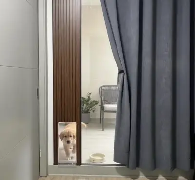Acceso desmontable para mascotas IG: lupo_mascotas - miniatura 2