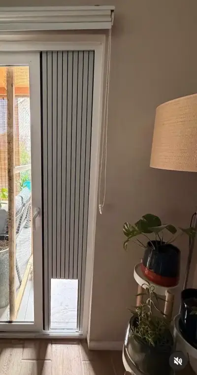 Acceso desmontable para mascotas IG: lupo_mascotas - miniatura 3