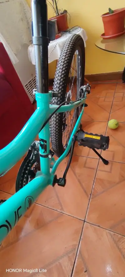 Bicicleta de montaña verde aro 24 - miniatura 2