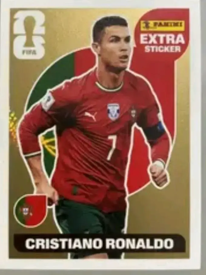 Lámina Panini FIFA Extra Sticker