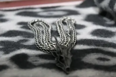 Collar con colgante de calavera de dragón - miniatura 3