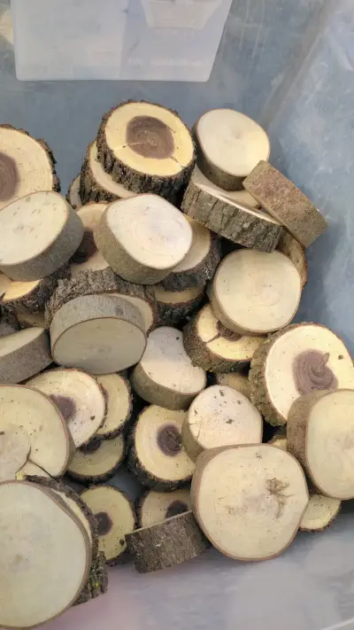Rodajas de madera natural para manualidades - miniatura 1