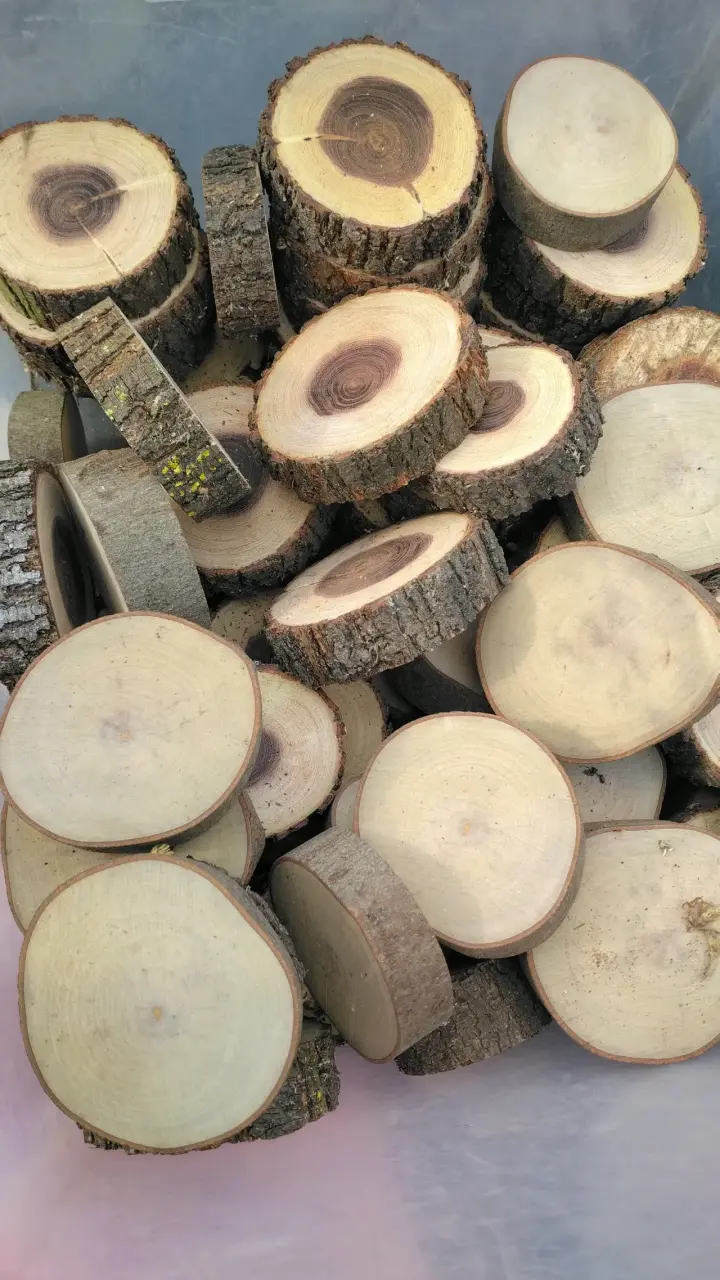Rodajas de madera natural para manualidades - 3