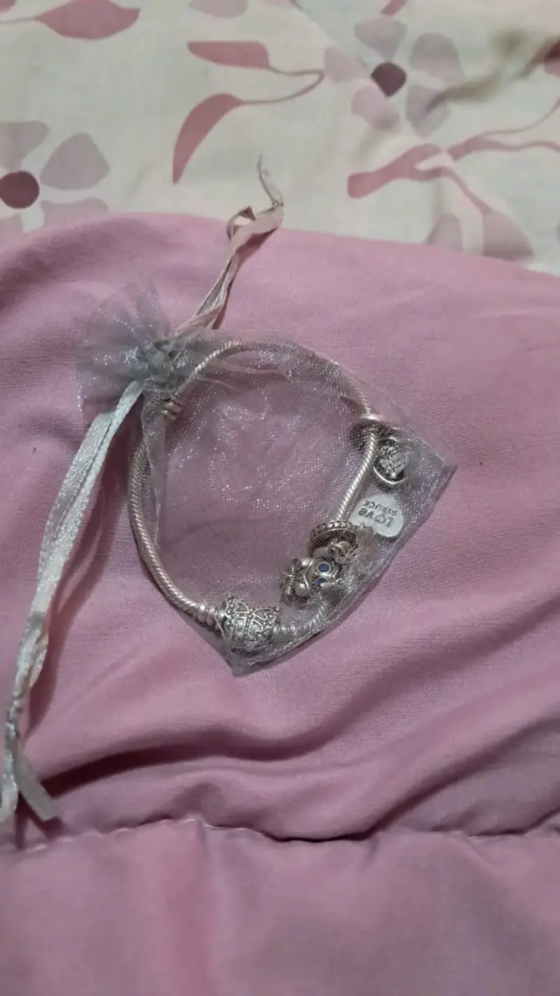 Pulsera Pandora plata con dijes encantadores - 2