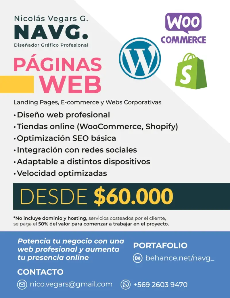 Servicios de diseño web profesional