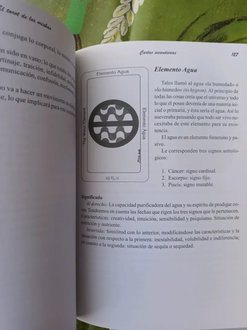 Tarot de los Orishas con libro y cartas en Español - 4