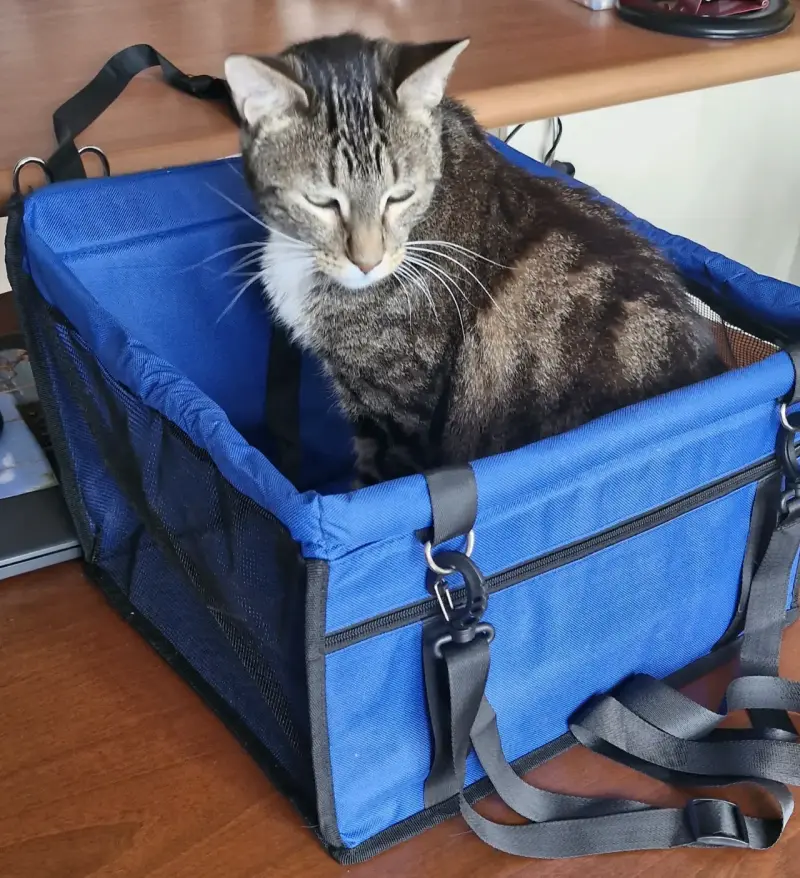 Transportadora de mascotas azul con malla - 2