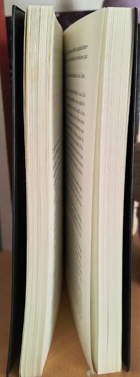 Lugares Oscuros - Gillian Flynn - 4