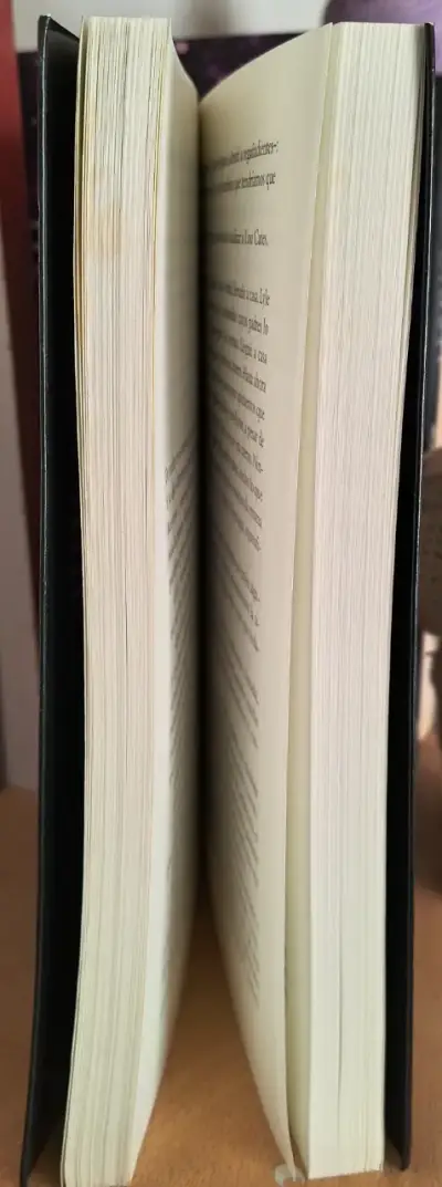Lugares Oscuros - Gillian Flynn - miniatura 4