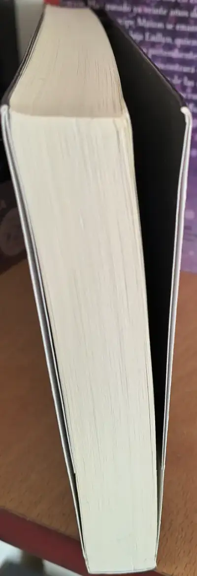 Lugares Oscuros - Gillian Flynn - miniatura 6