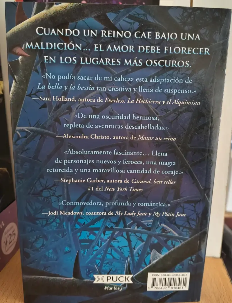 Una maldición oscura y solitaria - Brigid Kemmerer - 2