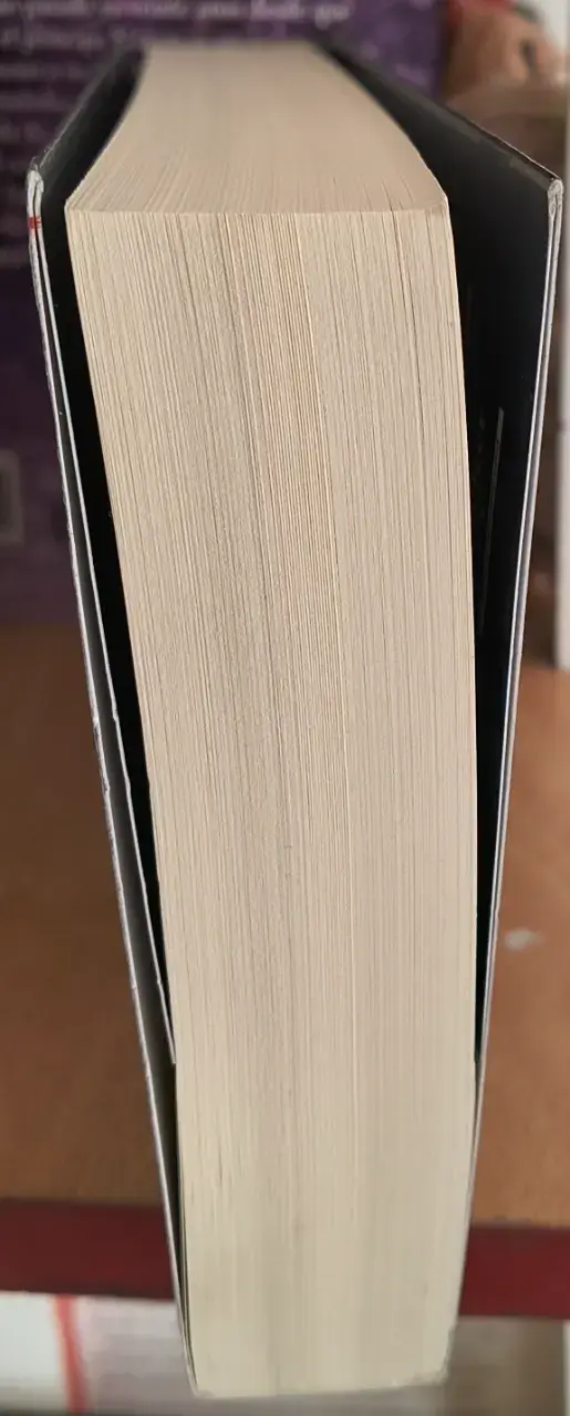 Una maldición oscura y solitaria - Brigid Kemmerer - 5