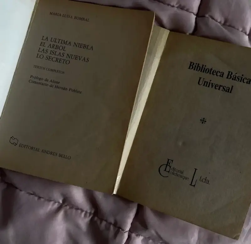 Libros clásicos: La Última Niebla y El Diario de Ana Frank - 2