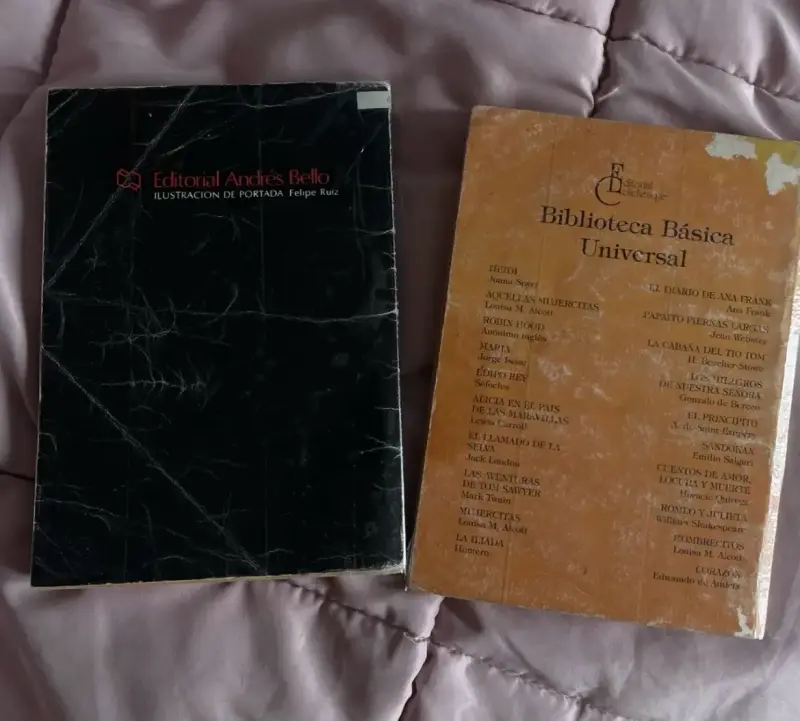 Libros clásicos: La Última Niebla y El Diario de Ana Frank - 4