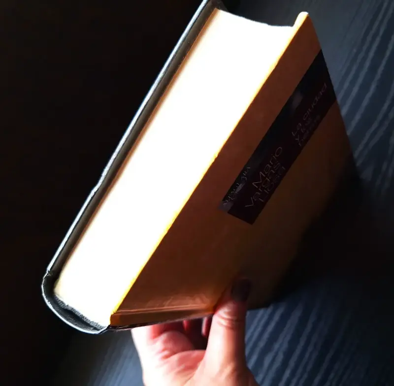 Libro 'La ciudad y los perros' de Mario Vargas Llosa - 5