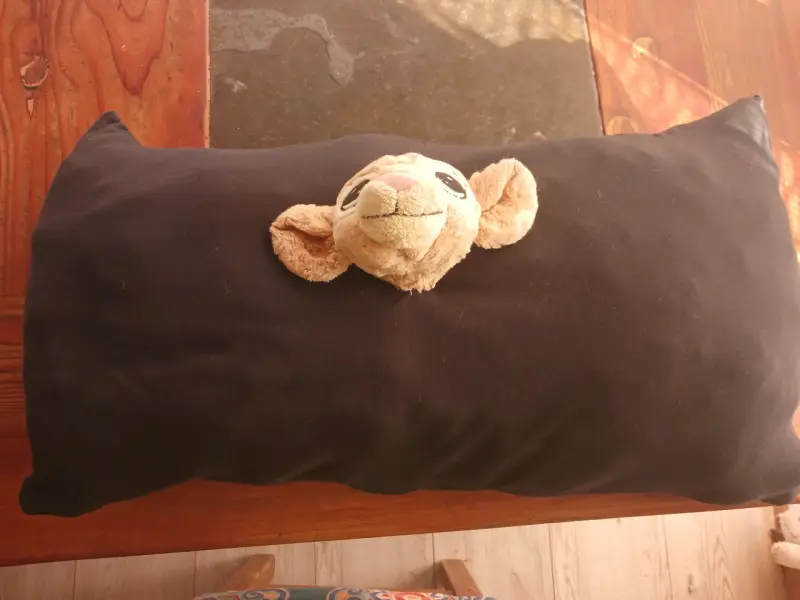Cojín decorativo - 2