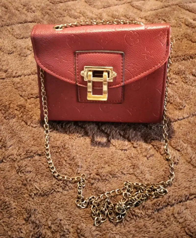 Cartera elegante con cadena