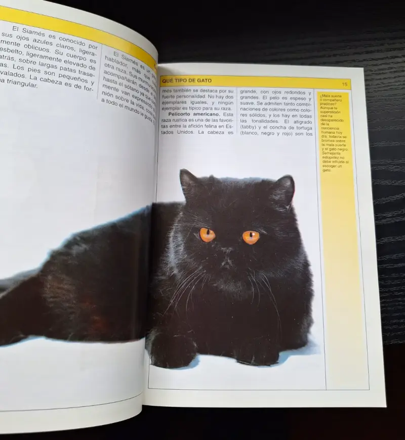 Libro 'Gatos: Cuidados y Variedades' - 3
