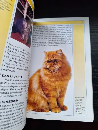 Libro 'Gatos: Cuidados y Variedades' - miniatura 5
