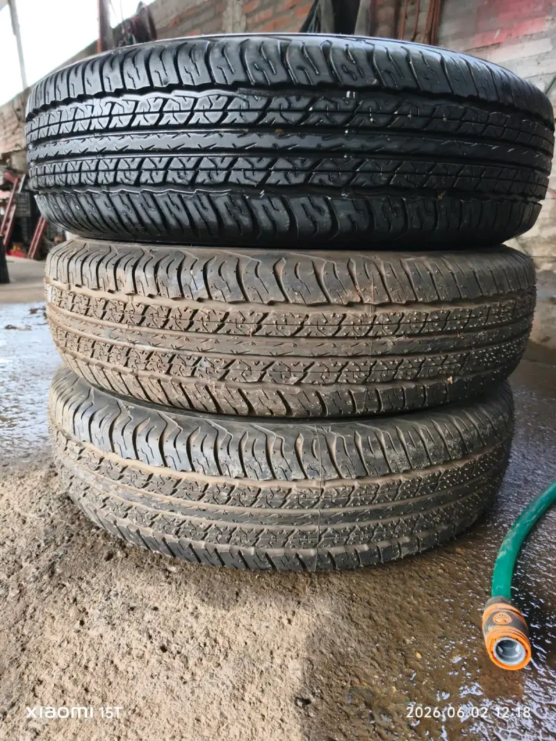 Neumático 195/80r15 Dunlop - 3