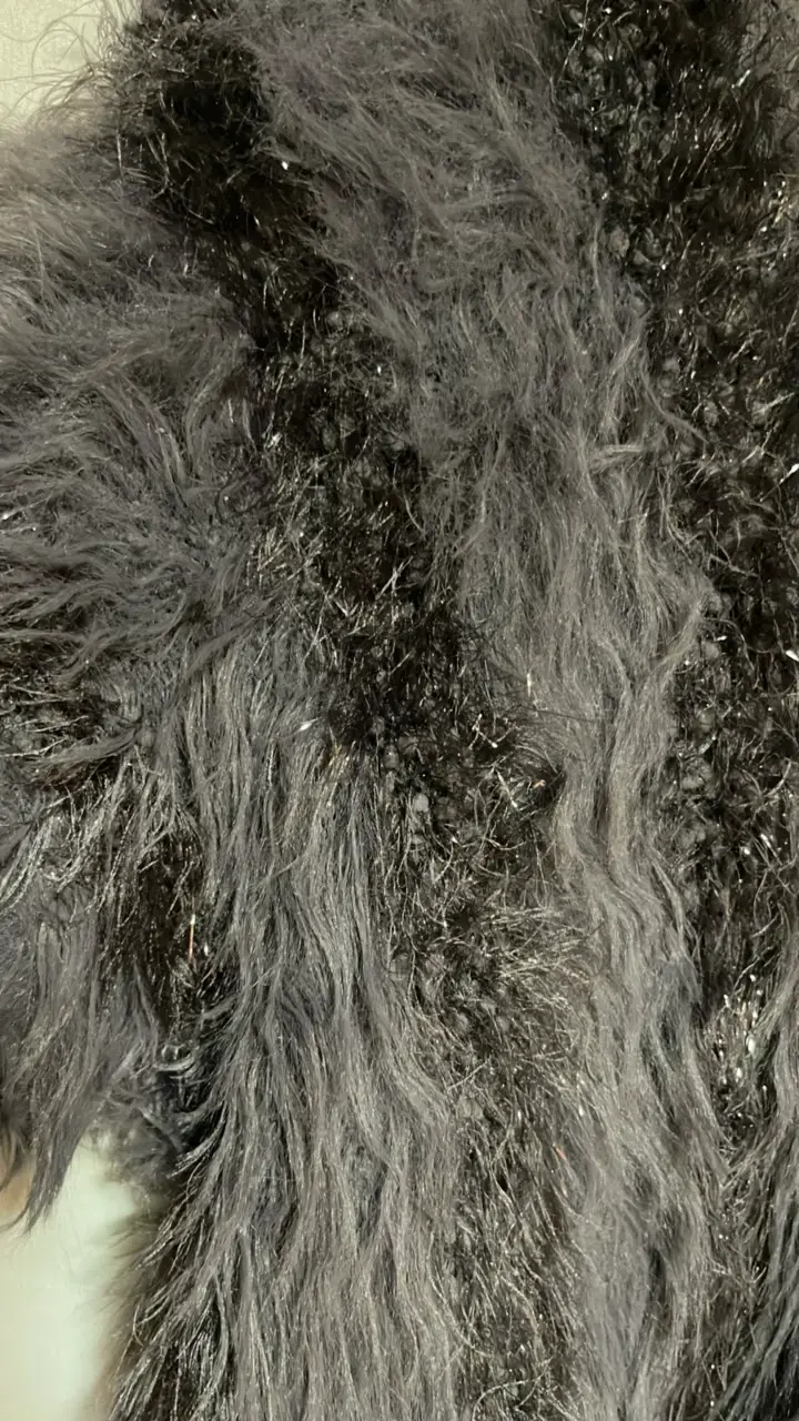 Chaleco - 2