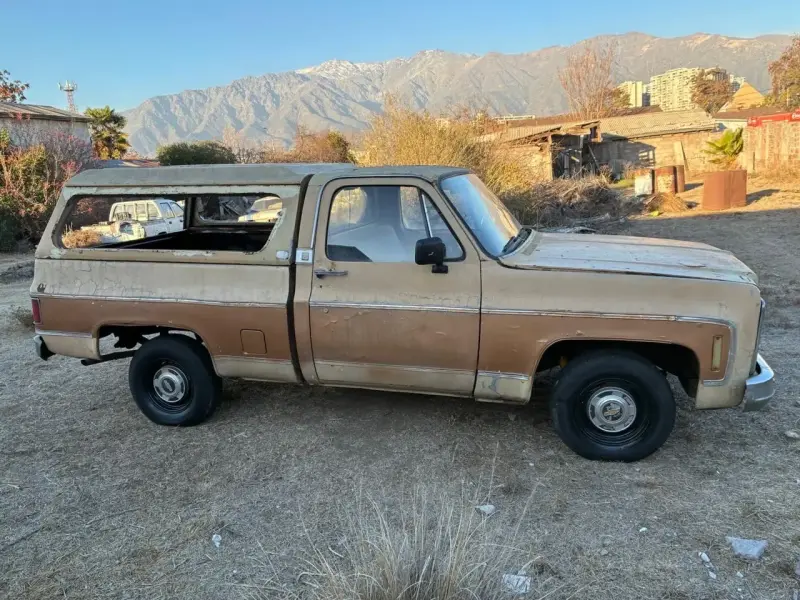 Camioneta Chevrolet C10 - 1979 - 1