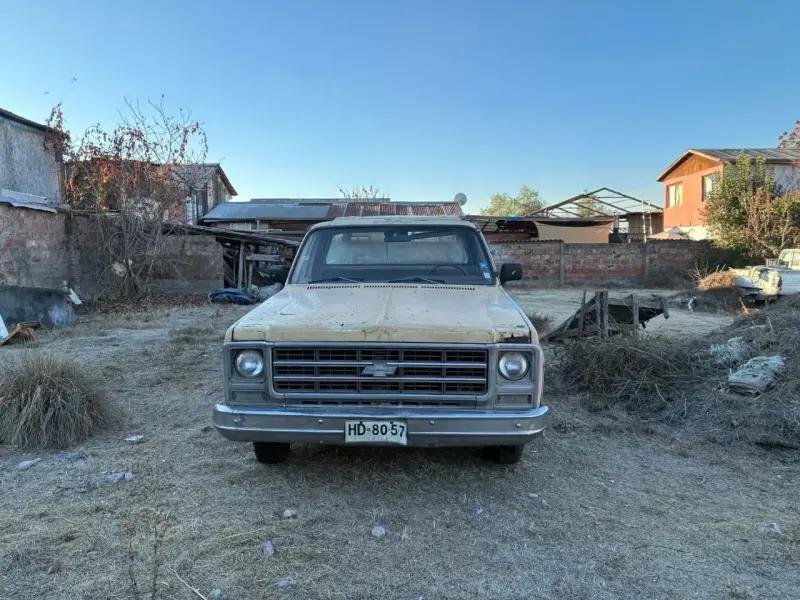 Camioneta Chevrolet C10 - 1979 - 2