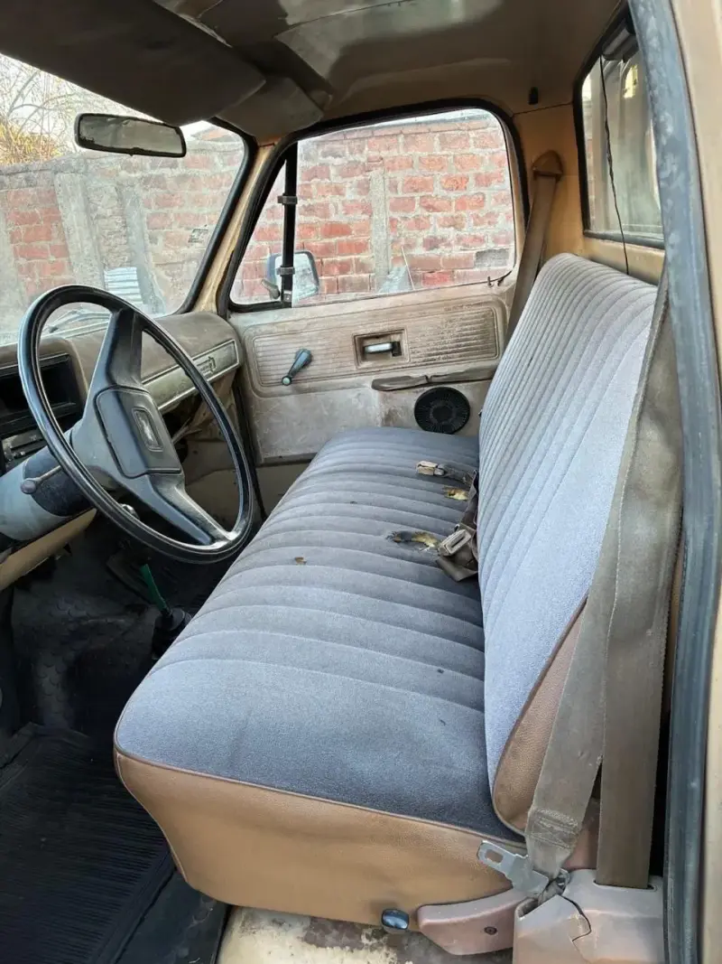 Camioneta Chevrolet C10 - 1979 - 5
