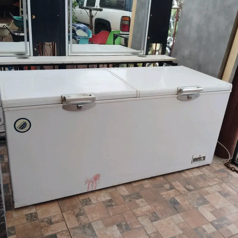 Congelador horizontal grande con doble tapa - 1