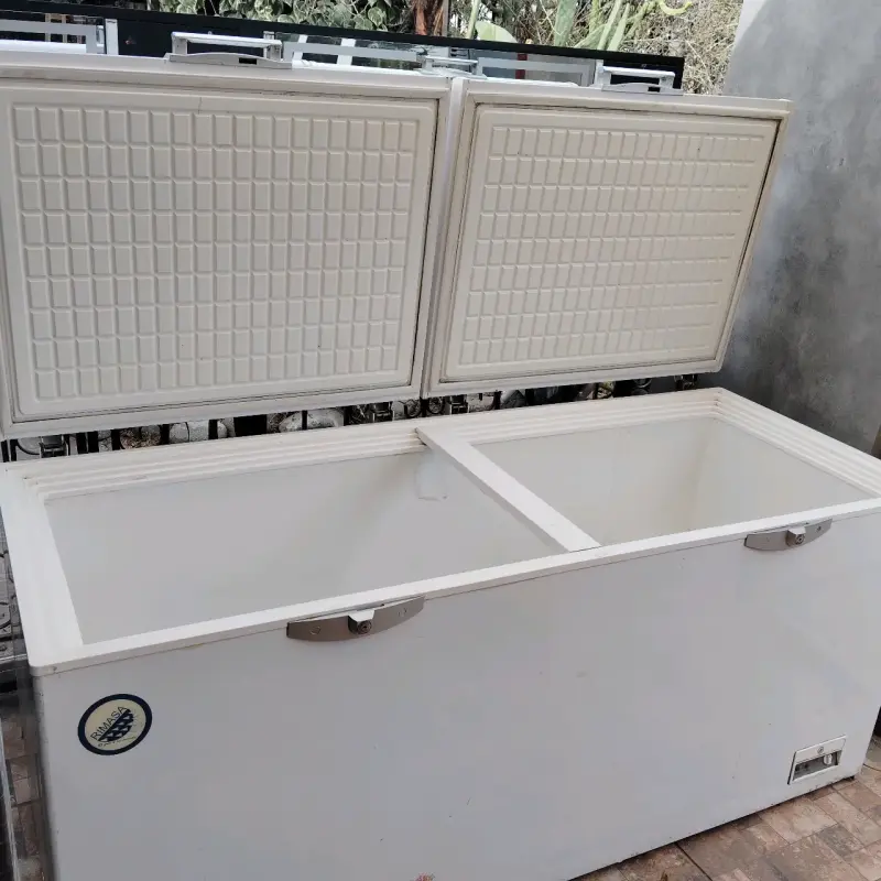 Congelador horizontal grande con doble tapa - 2