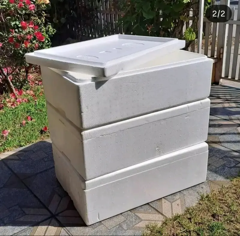 Cajas de plumavit para almacenamiento - 1
