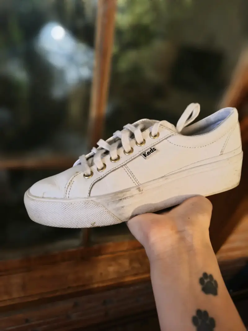 Zapatillas Keds - 1