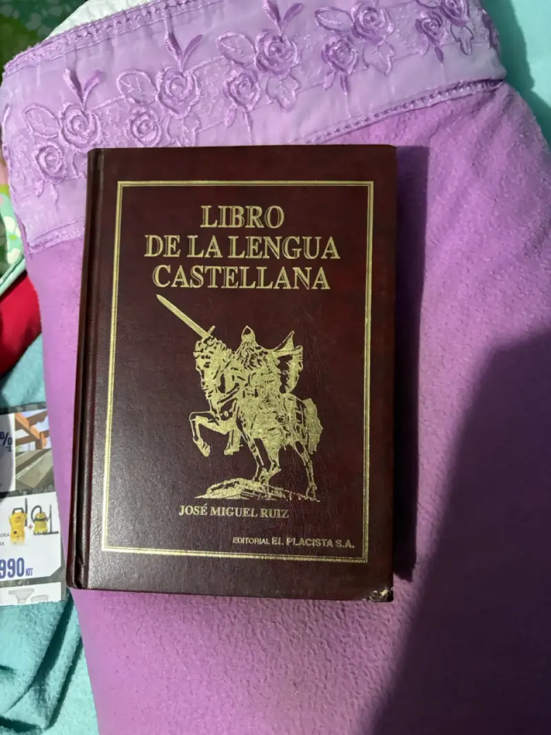Libro de la Lengua Castellana de José Miguel Ruiz