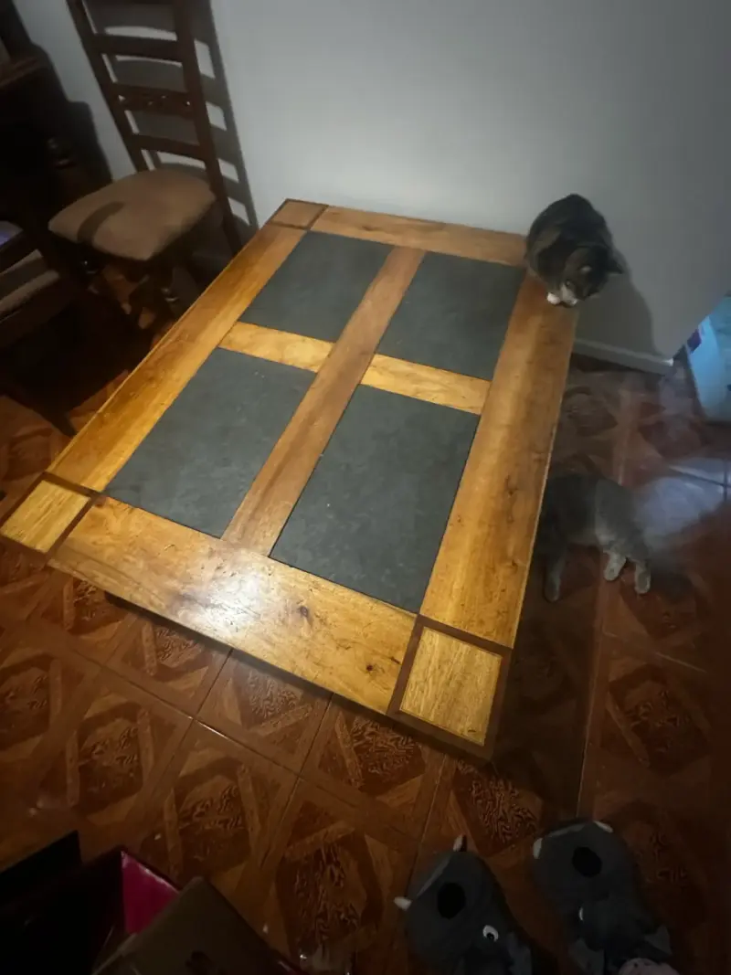 Mesa de centro rústica de madera y piedra - 2